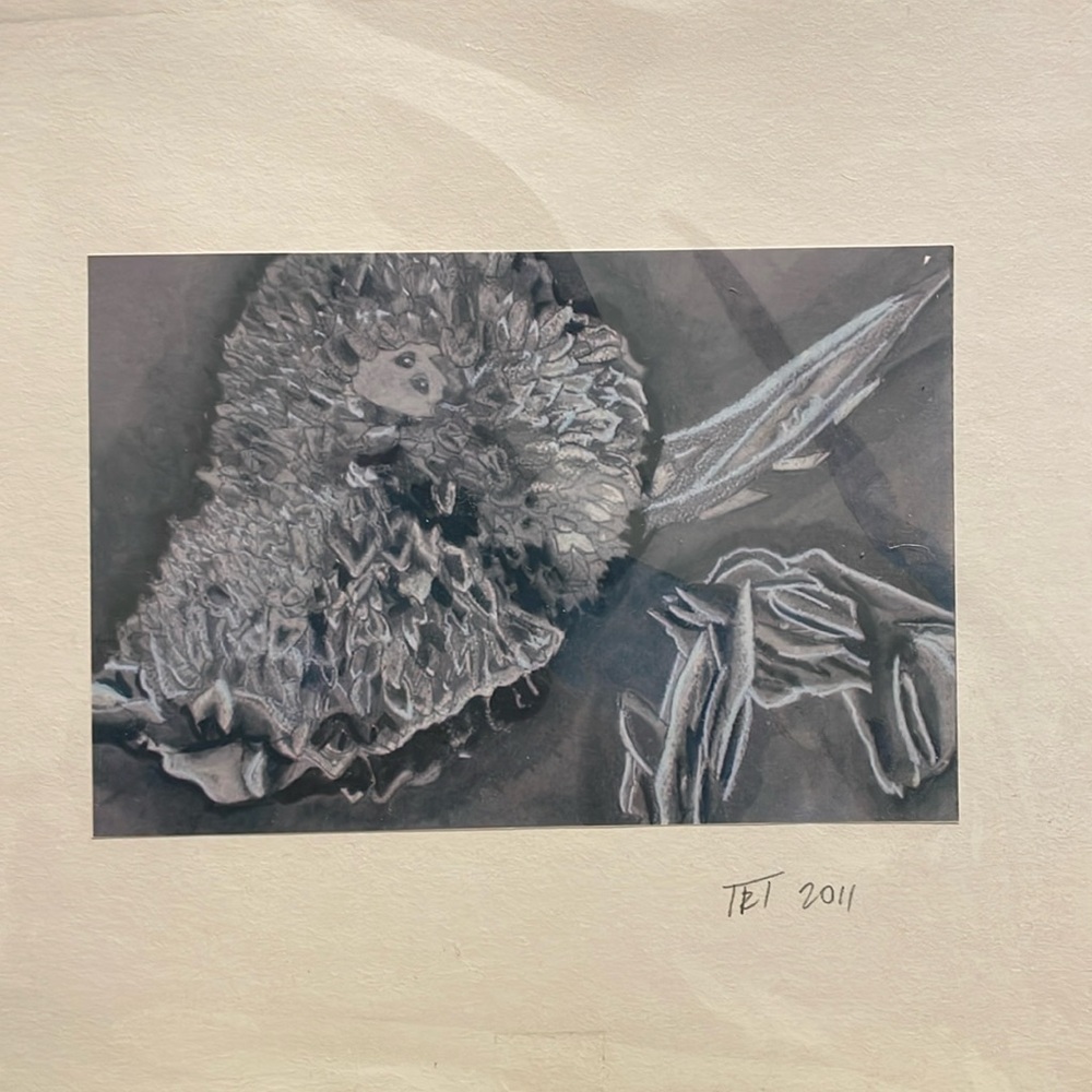 Art black and white dried sunflower and rock